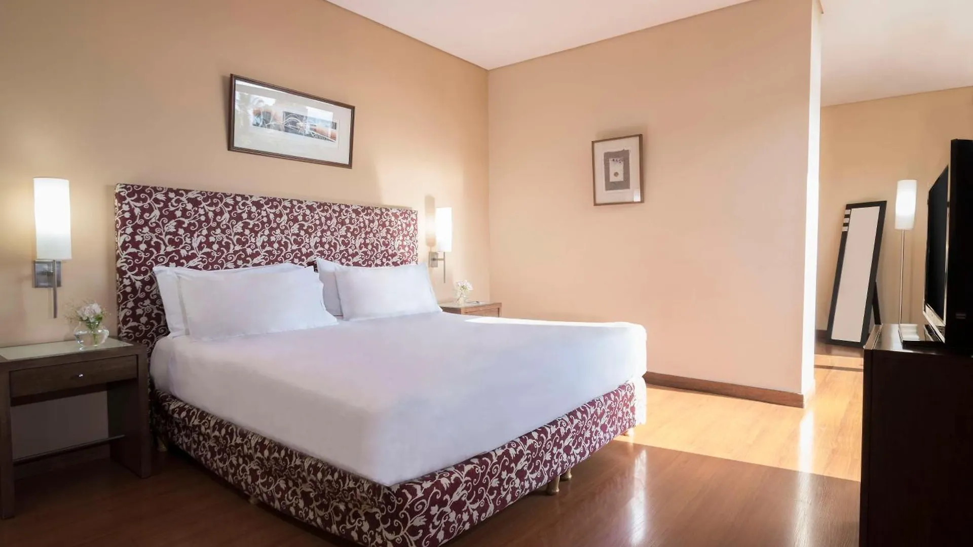 Nh Mendoza Cordillera Hotel