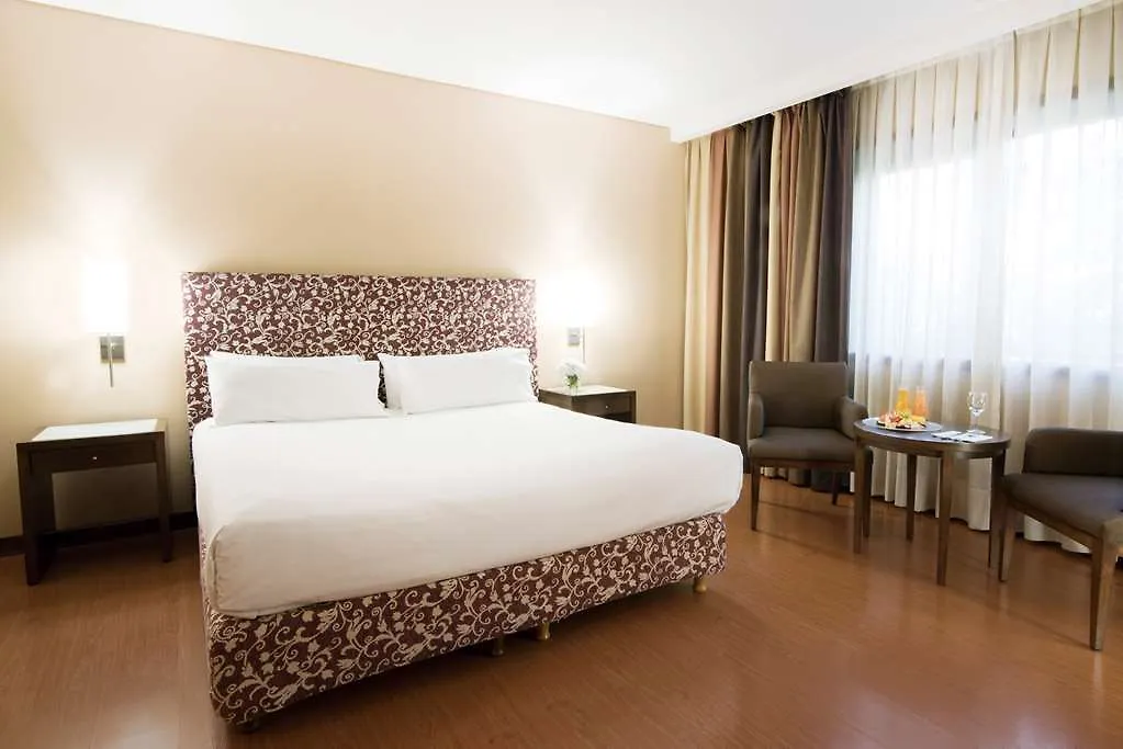 Nh Mendoza Cordillera Hotel