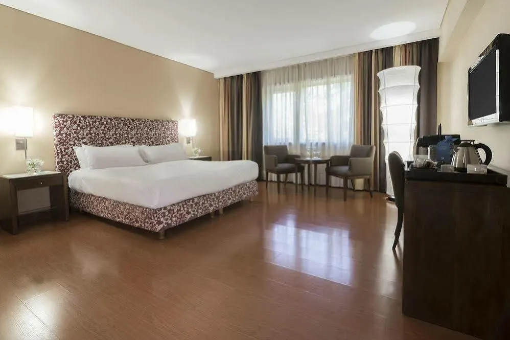 Nh Mendoza Cordillera Hotel 4*,